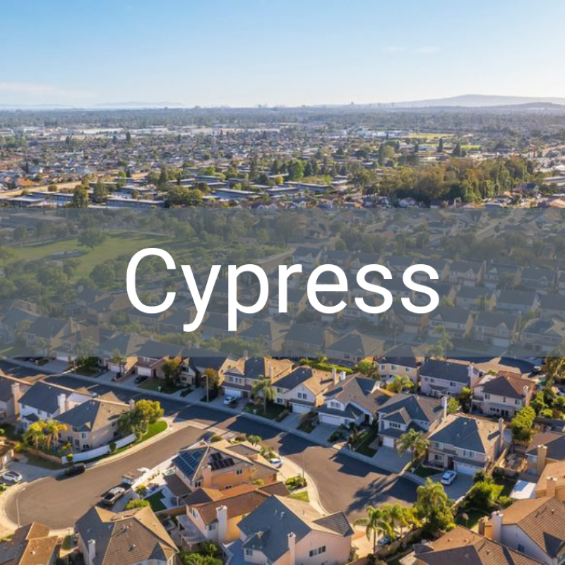 Cypress Area Tile