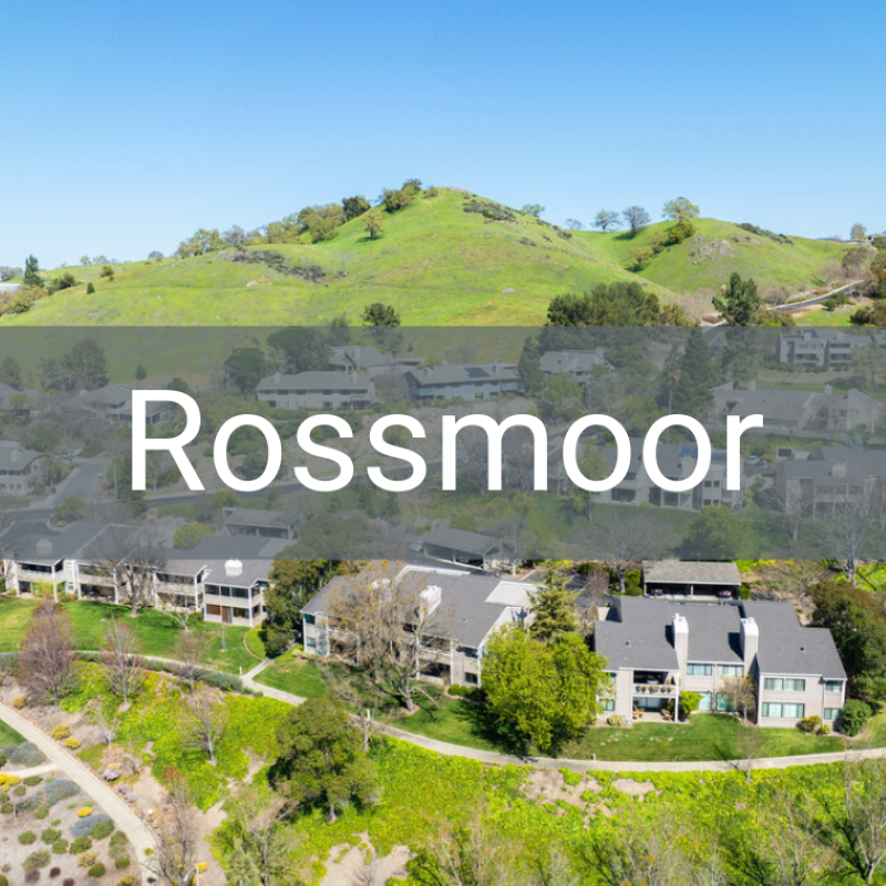 Rossmoor Beach Area Tile